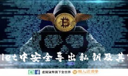 如何在tpWallet中安全导出私钥及其密码保护方法