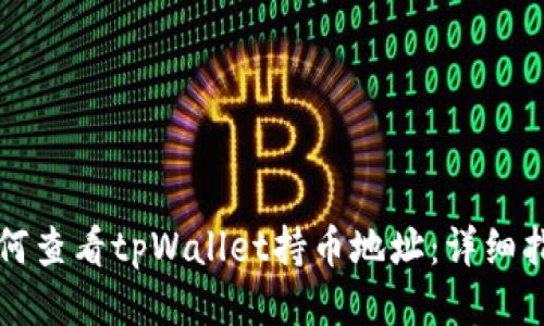 如何查看tpWallet持币地址：详细指南