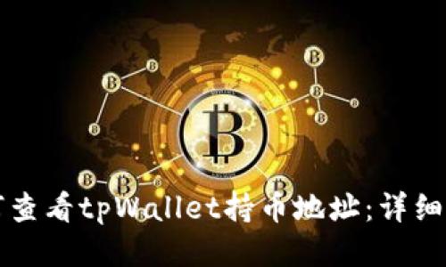 如何查看tpWallet持币地址：详细指南