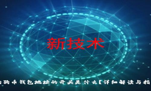 狗狗币钱包地址的开头是什么？详细解读与指南