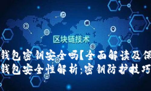 比特币钱包密钥安全吗？全面解读及保护措施
比特币钱包安全性解析：密钥防护技巧