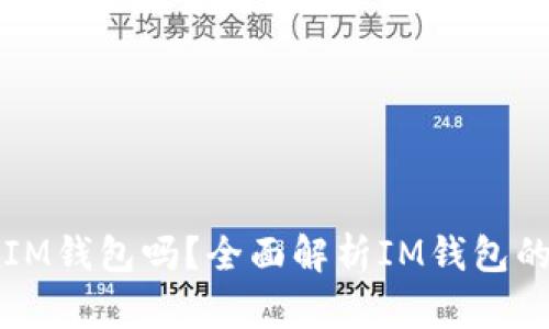 比特币能放在IM钱包吗？全面解析IM钱包的数字资产管理