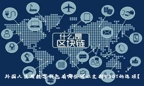 外国人使用数字钱包有哪些可以支持USDT的选项？