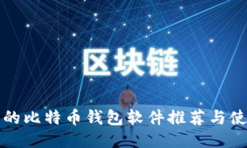最可靠的比特币钱包软件推荐与使用指南