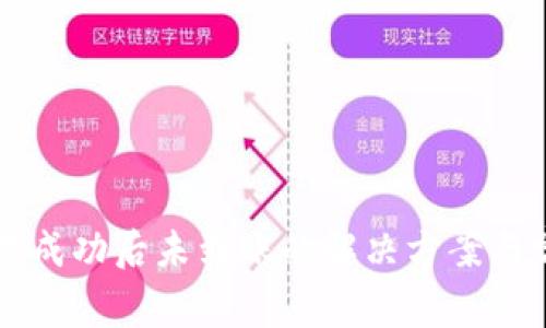 tpWallet交易成功后未到账的解决方案与常见问题解析