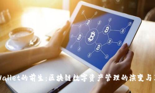 TPWallet的前生：区块链数字资产管理的演变与革新