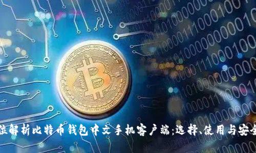 全方位解析比特币钱包中文手机客户端：选择、使用与安全防护
