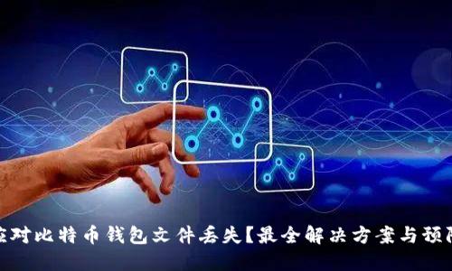 如何应对比特币钱包文件丢失？最全解决方案与预防措施