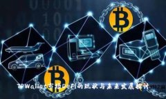 TPWallet市场DeFi的现状与未