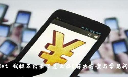 tpWallet 钱提不出来了怎么办？解决方案与常见问题解析