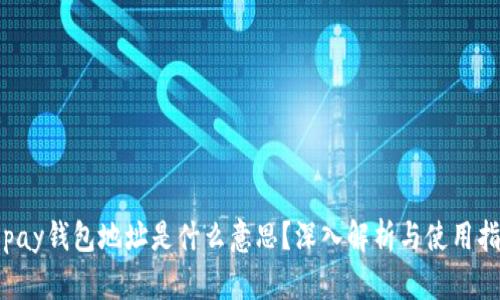 topay钱包地址是什么意思？深入解析与使用指南