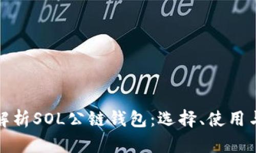 全方位解析SOL公链钱包：选择、使用与安全性