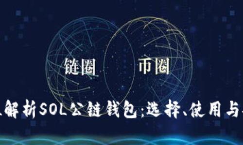 全方位解析SOL公链钱包：选择、使用与安全性