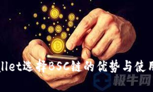 tpWallet选择BSC链的优势与使用指南