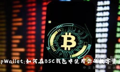 tpWallet：如何在BSC钱包中使用你的数字资产