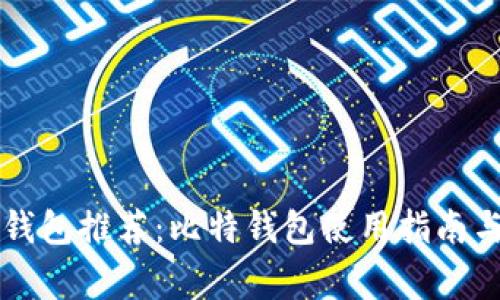 中文版比特币钱包推荐：比特钱包使用指南与常见问题解答