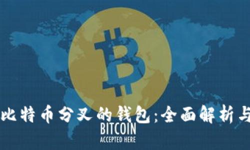 支持比特币分叉的钱包：全面解析与推荐