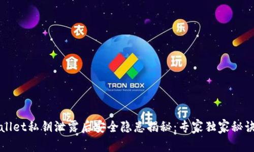 tpWallet私钥泄露后安全隐患揭秘：专家独家秘诀分析