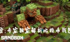 比特币钱包解密：专家独家解析比特币钱包的底