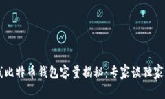 离线比特币钱包容量揭秘：专家谈独家秘诀