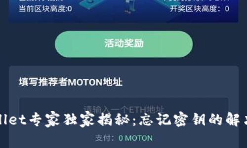 tpWallet专家独家揭秘：忘记密钥的解决秘诀