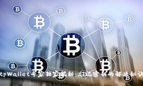 tpWallet专家独家揭秘：忘记密钥的解决秘诀