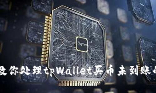 币圈专家教你处理tpWallet买币未到账的独家秘诀