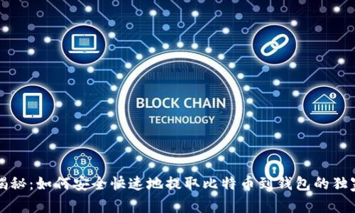 专家揭秘：如何安全快速地提取比特币到钱包的独家秘诀