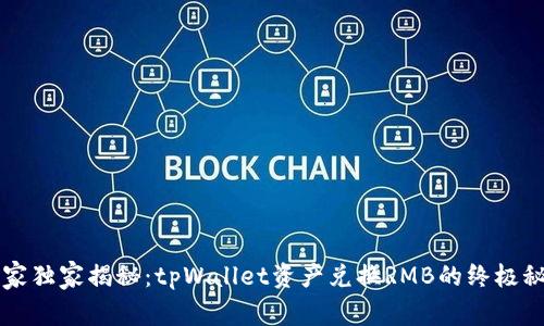 专家独家揭秘：tpWallet资产兑换RMB的终极秘诀