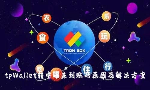 tpWallet转中币未到账的原因及解决方案