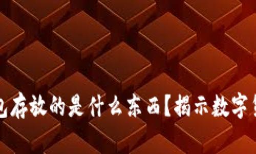 比特币钱包存放的是什么东西？揭示数字货币的秘密