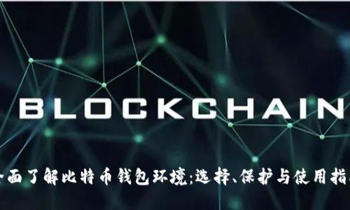 全面了解比特币钱包环境：选择、保护与使用指南