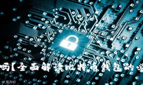 比特币必须钱包吗？全面解读比特币钱包的必要性和选择指南