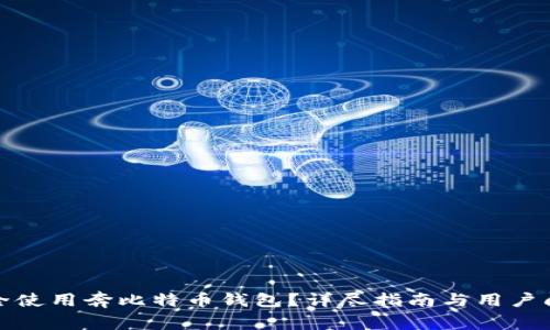 如何安全使用奔比特币钱包？详尽指南与用户问题解答