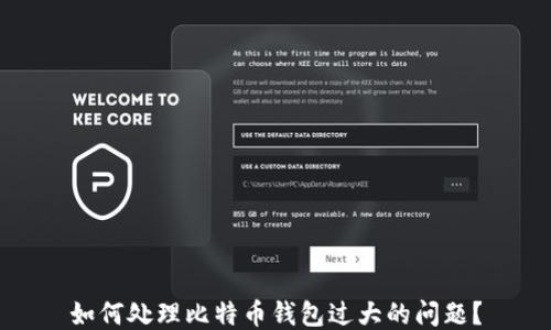 
如何处理比特币钱包过大的问题？