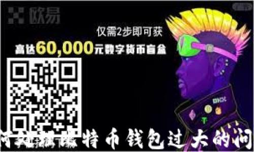 
如何处理比特币钱包过大的问题？