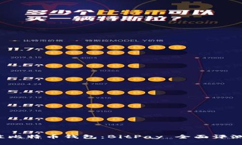 2023年最佳比特币钱包：BitPay 全面评测与使用指南