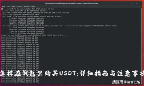 怎样在钱包里购买USDT：详细指南与注意事项