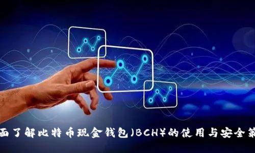 全面了解比特币现金钱包（BCH）的使用与安全策略