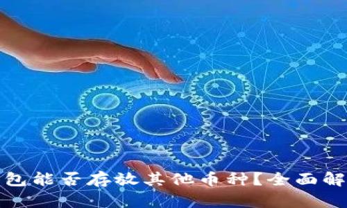 狗狗币钱包能否存放其他币种？全面解析与建议