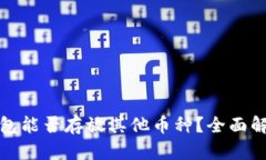 狗狗币钱包能否存放其他币种？全面解析与建议