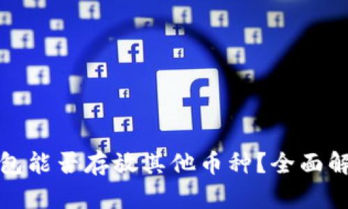 狗狗币钱包能否存放其他币种？全面解析与建议