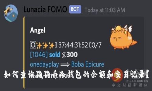 如何查询狗狗币冷钱包的余额和交易记录？