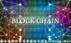 如何安全使用比特币中国电子钱包（Bitcoin Walle