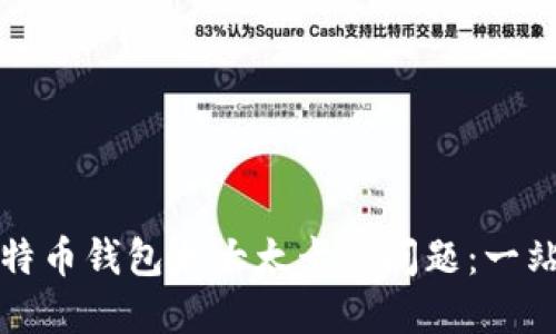 如何解决比特币钱包太大太卡的问题：一站式解决方案