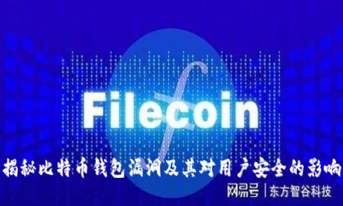 揭秘比特币钱包漏洞及其对用户安全的影响