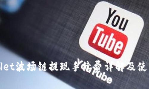 tpWallet波场链提现手续费详解及使用指南