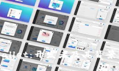 tpWallet：开发者及其背景详解