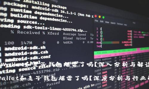 《tpWallet和麦子钱包爆雷了吗？深入分析与解读》

tpWallet和麦子钱包爆雷了吗？深度分析与行业解读