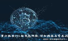 如何配置小狐狸SOL链钱包网络：详细指南与常见